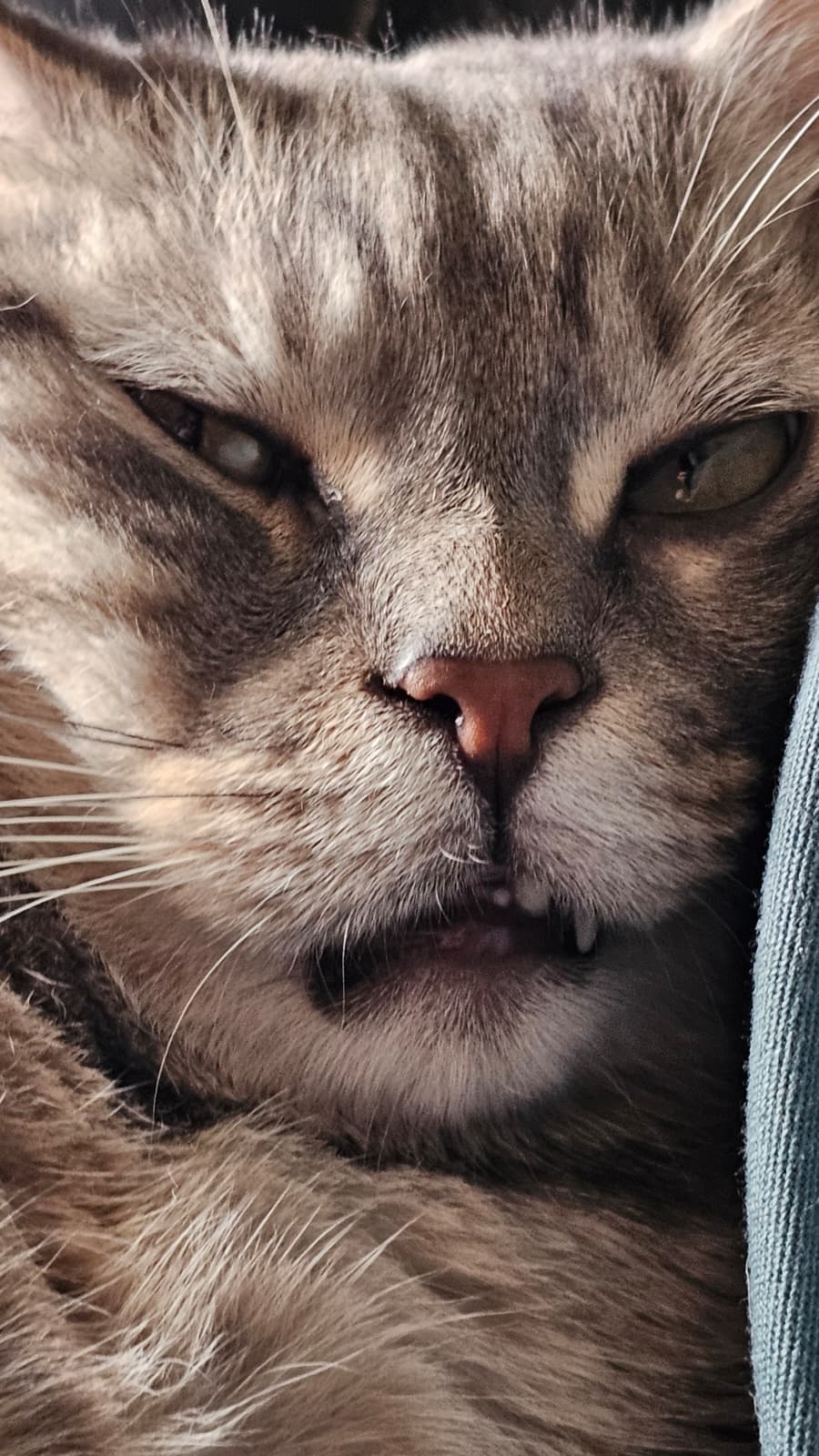 Close portrait of Worf