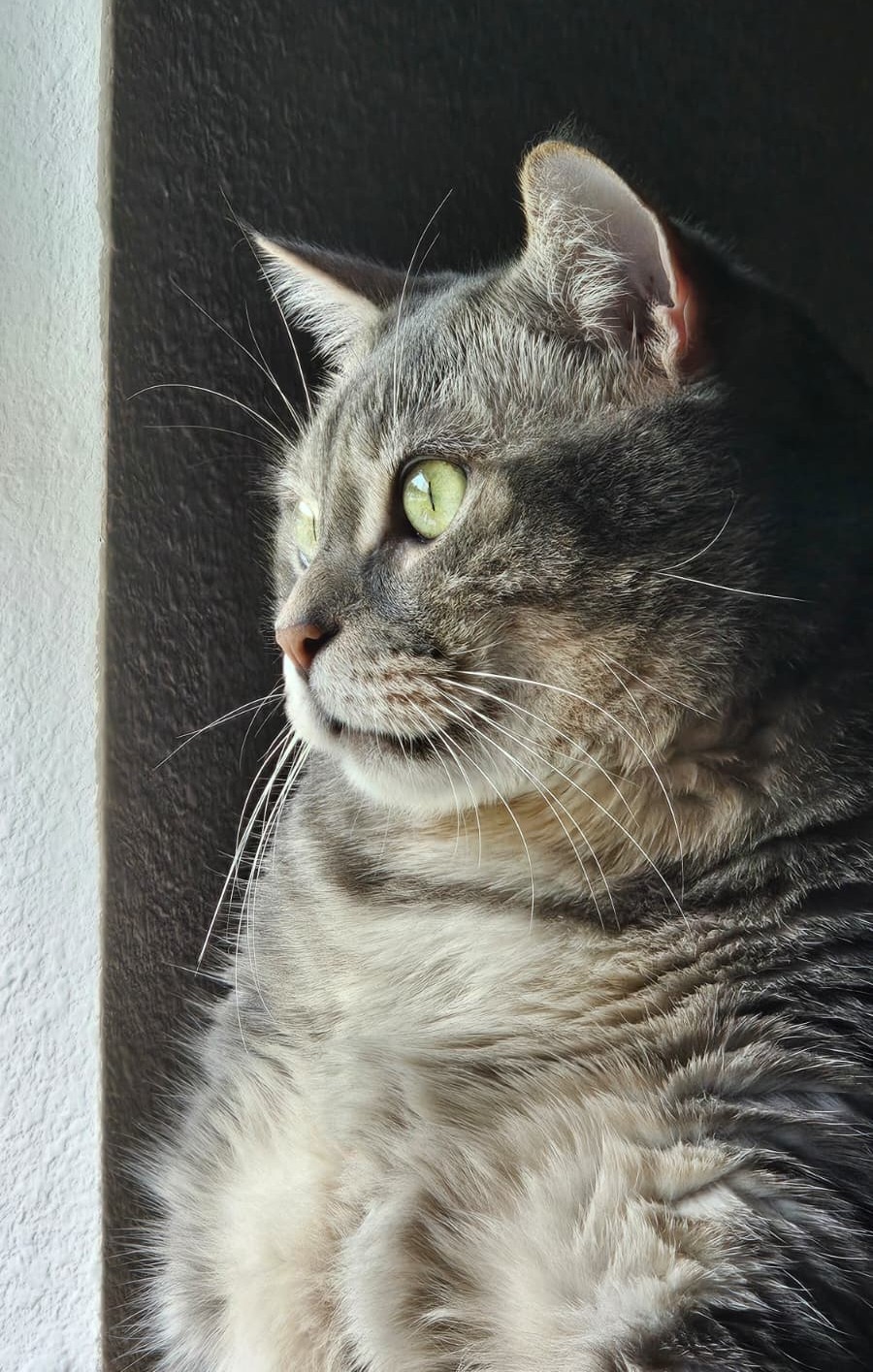 Worf looking out a window